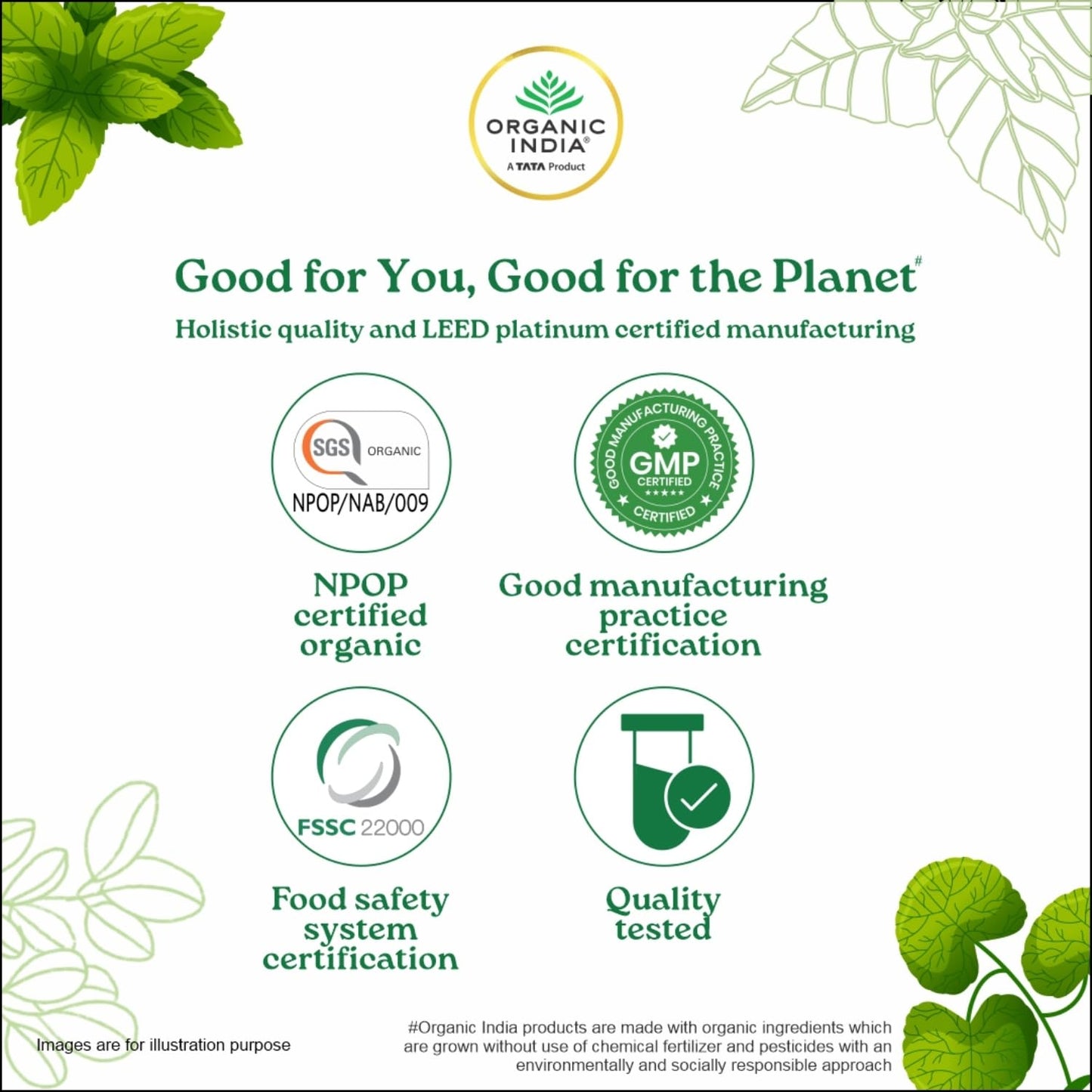 A TATA Product - Organic India Moringa Powder - 100g, Essential Nutrition Superfood, Helps Naturally Boost Energy Levels, Improves Stamina & Vitality, Rich In Vitamins & Minerals