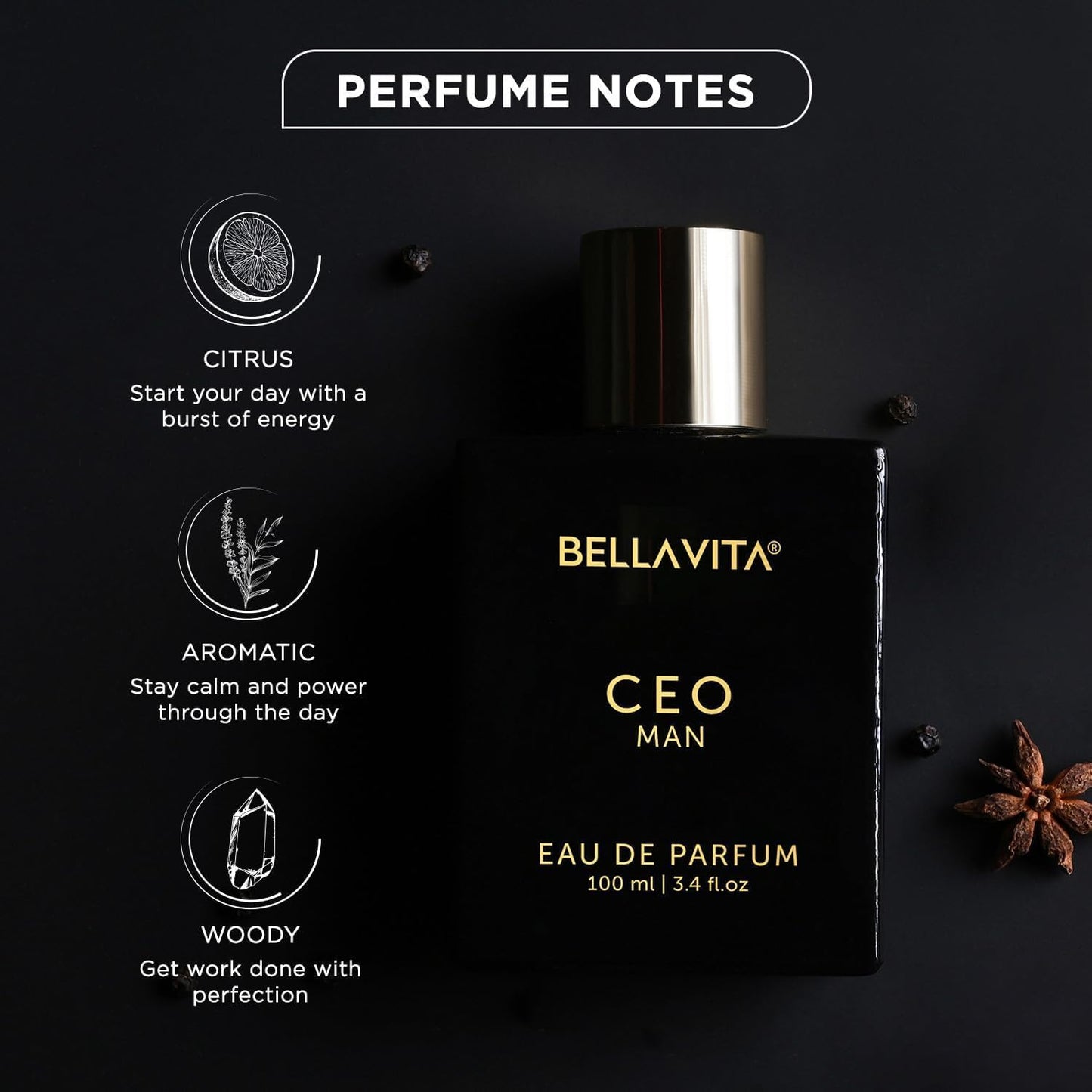 Bella Vita Luxury CEO MEN Long Lasting Perfume for Man | EDP 100ml | Lemon, Lavender, Tonka, Mandarin & Vetiver | Woody, Citrus Premium Fragrance | Ideal for Every Moment