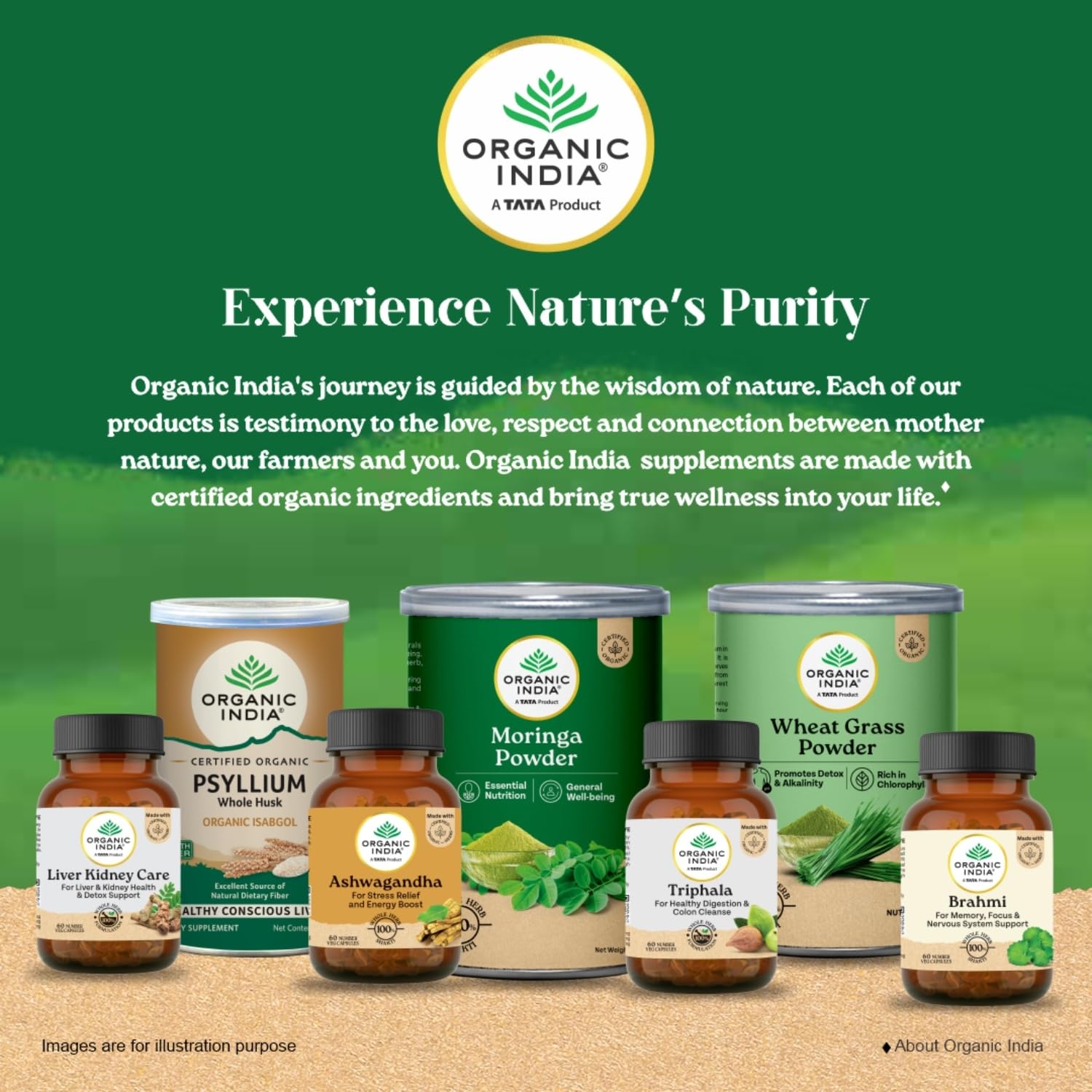 A TATA Product - Organic India Moringa Powder - 100g, Essential Nutrition Superfood, Helps Naturally Boost Energy Levels, Improves Stamina & Vitality, Rich In Vitamins & Minerals